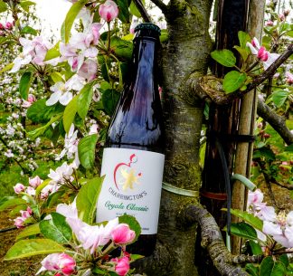 Cryals Classic Cider amongst blossom