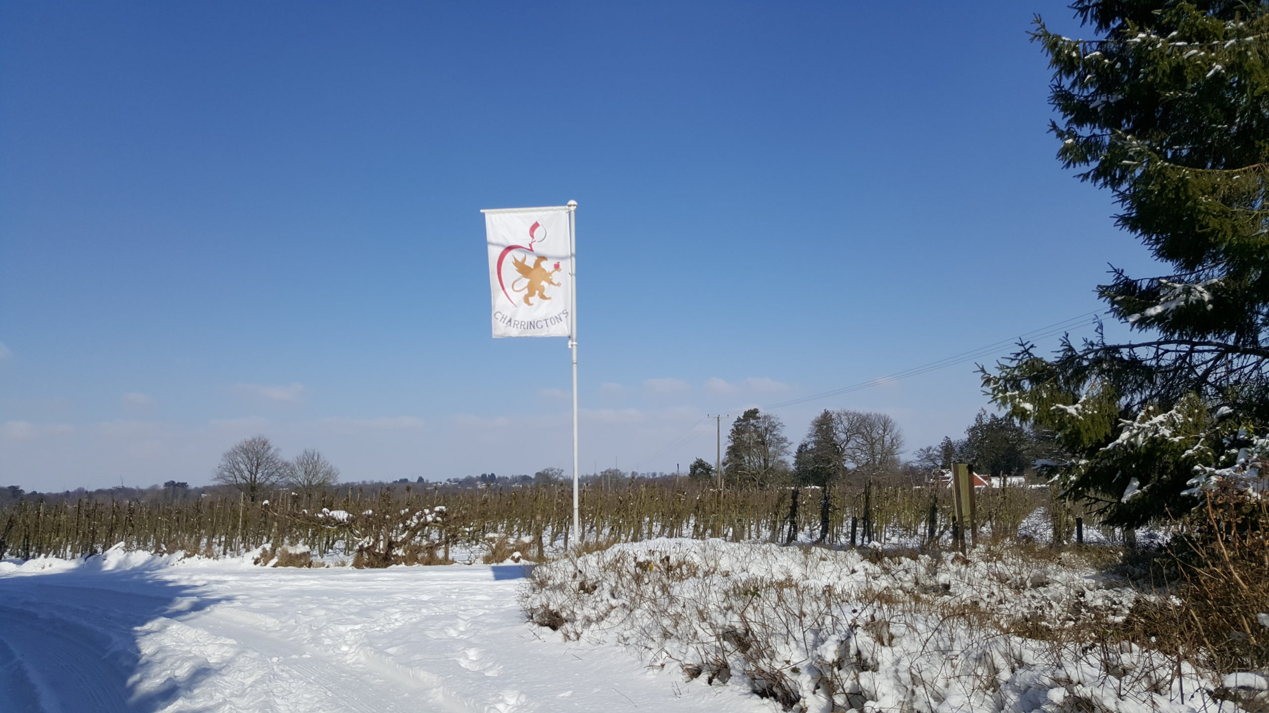 Charrington's flag in snow